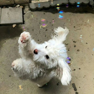 1754894607717658.jpg 640 (1).jpg