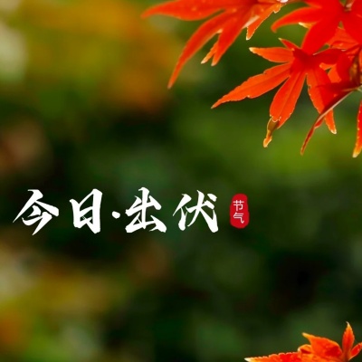 1754977052824103.jpg 出伏_1_多多喵图片设计~_来自小红书网页版.jpg