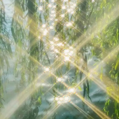 1755574380488269.jpg 640 (3).jpg