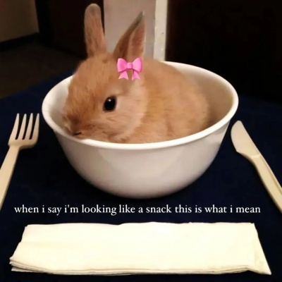 1755757104521398.jpg 640 (2).jpg