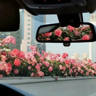 1755758486520901.jpg 640 (11).jpg