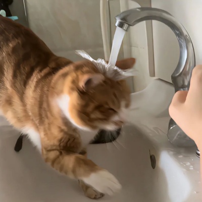 1755850110660441.jpg 640 (1).jpg