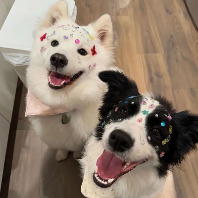 1755934863395446.jpg 640 (1).jpg