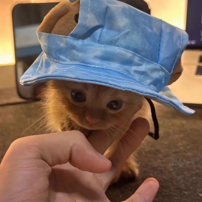 1756106401100659.jpg 640 (8).jpg