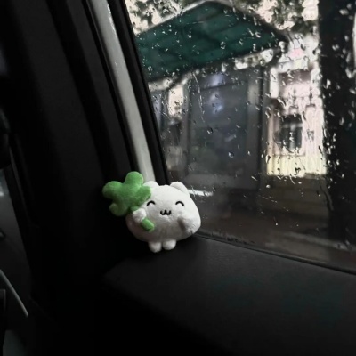 1756698510864249.jpg 4.jpg