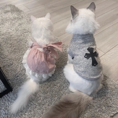 1756965672813349.jpg 8.jpg