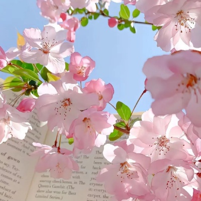 1757572390671874.jpg 11.jpg