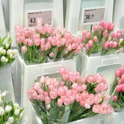 1757572396465286.jpg 12.jpg