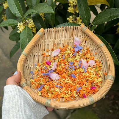 1757908779524103.jpg 11.jpg