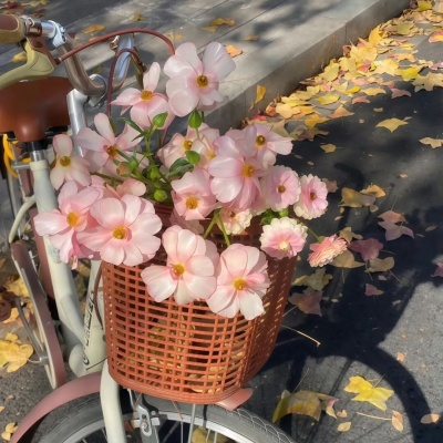 1757908786962436.jpg 12.jpg