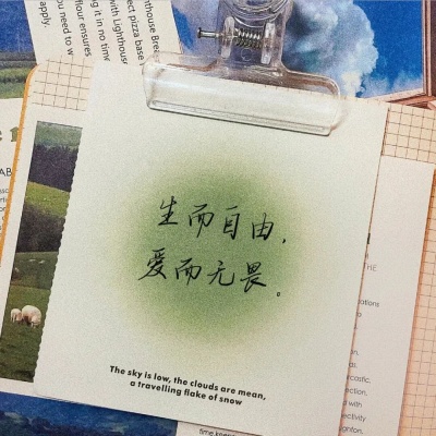 1758176911789187.jpg 8.jpg