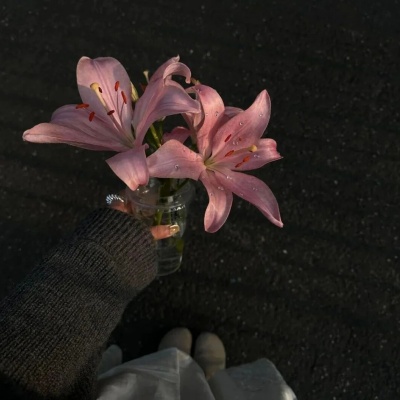 1758526855913775.jpg 4.jpg