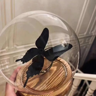 1758702876775878.jpg 640 (5).jpg