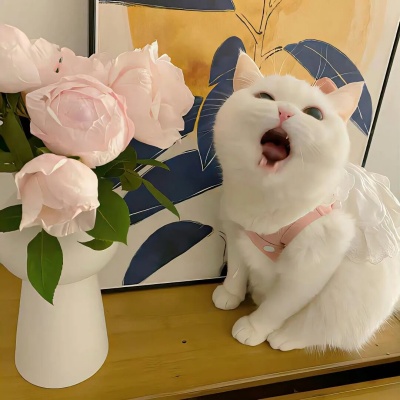 1758703994357748.jpg 640.jpg