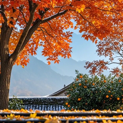 1760583125652316.jpg 霜降,秋天的最后一站_1_傍晚的柠檬树_来自小红书网页版.jpg