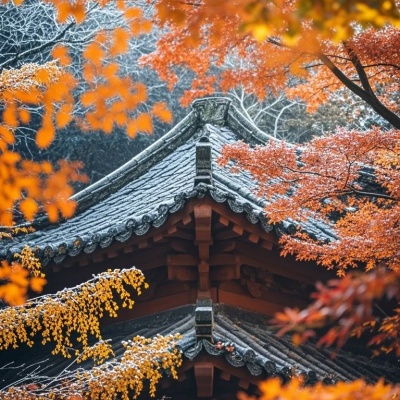 1760583131694267.jpg 霜降,秋天的最后一站_2_傍晚的柠檬树_来自小红书网页版.jpg