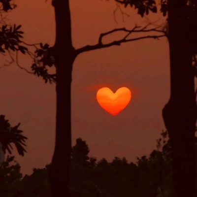 1761962903181323.jpg 640 (1).jpg