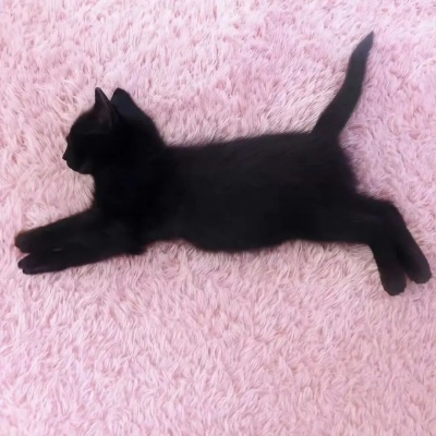 1762307262335837.jpg 640.jpg