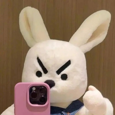 1763516503192455.jpg 微信图片_2025-11-19_094120_191.jpg