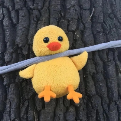 1763516519133808.jpg 微信图片_2025-11-19_094125_312.jpg