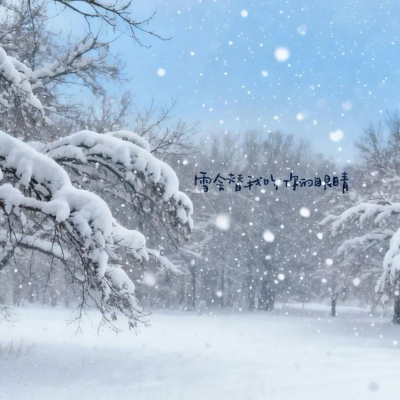 1764554508121243.png 640 (1).png