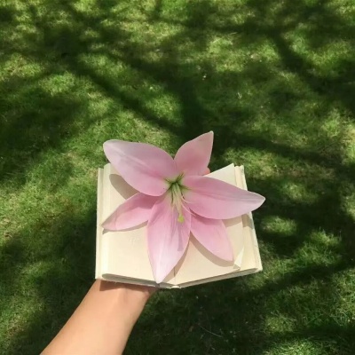 1765331824119819.jpg 640 (1).jpg